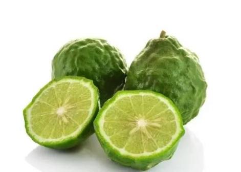 箭叶橙_百度百科