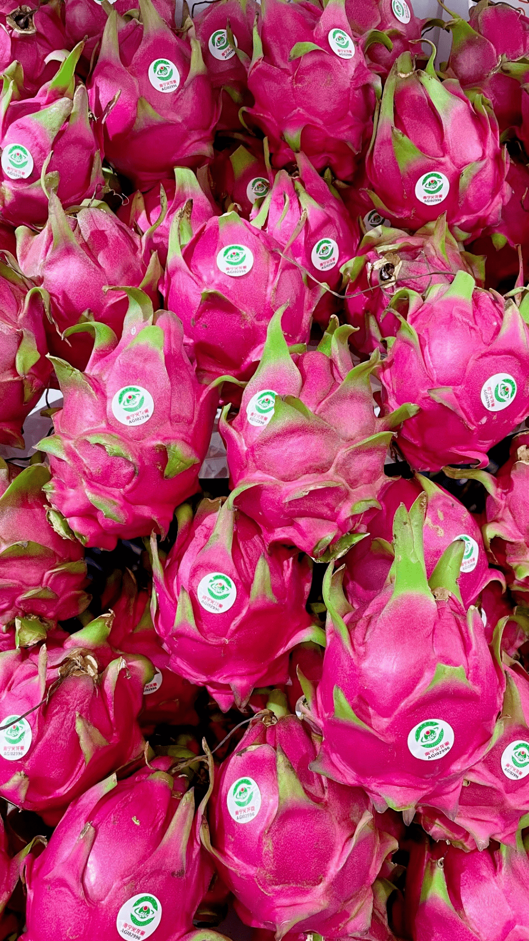 南宁火龙果, a target="_blank" href="/item/广西壮族自治区/163178"