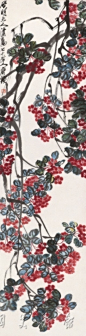 海棠花开