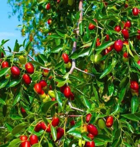  p data-id="go0gucxswc">赵毛陶镇,隶属于河北省沧州市海兴县,地处 a