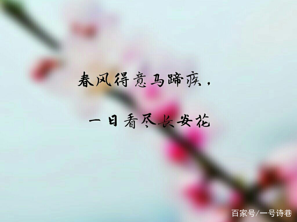春风得意马蹄疾 一日看尽长安花 孟郊人生中的第一首豪放诗 百科ta说