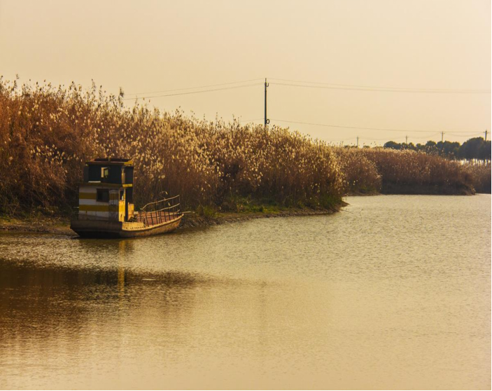 江西填湖广，留下彭、刘二姓几百年斗争，张灵甫出面才彻底解决_百科TA说