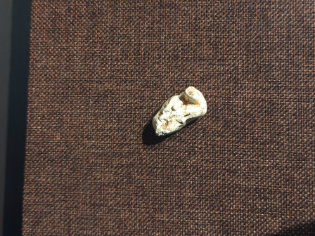 溧阳博物馆内藏品