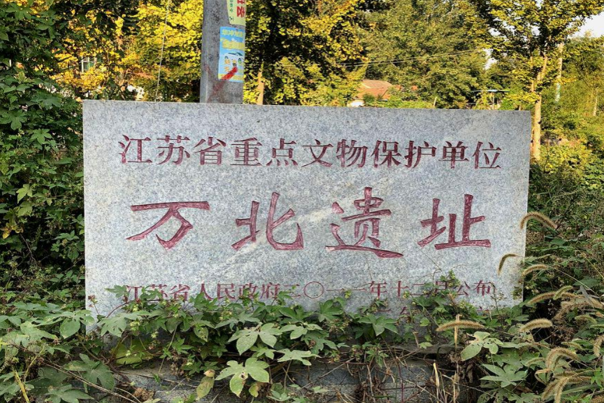 江苏沭阳万北遗址