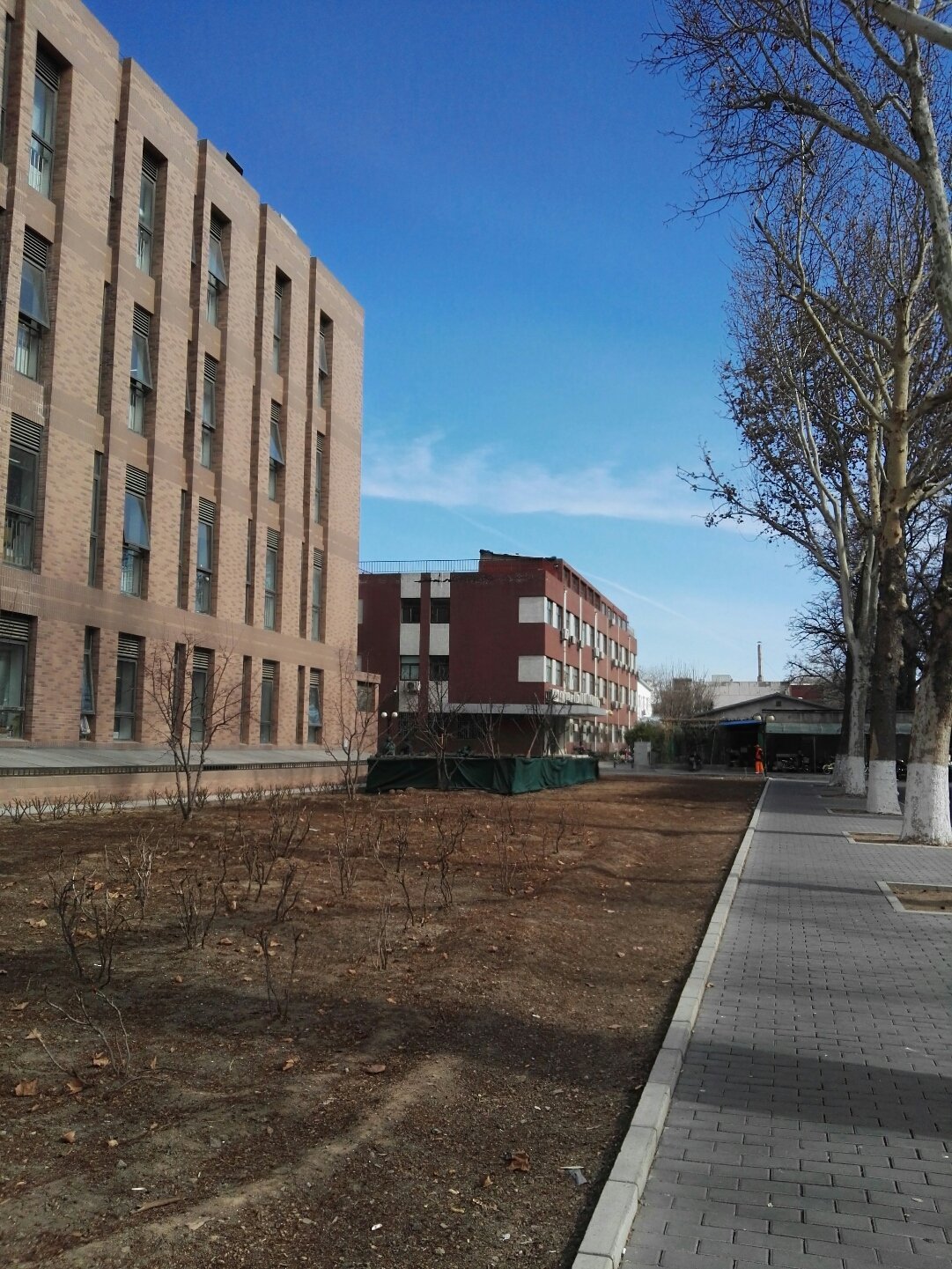  p data-id="gnytib9cn8">八里庄街道,北京市海淀区下辖街道.