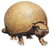 >及已绝灭的始兽, a target="_blank" href="/item/多瘤齿兽类/358128