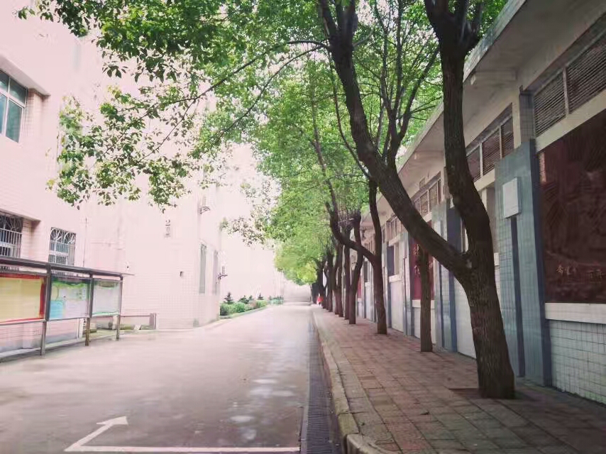  p data-id="gnhfqfikgu">娄底市第二完全中学,简称娄底二中,始建于