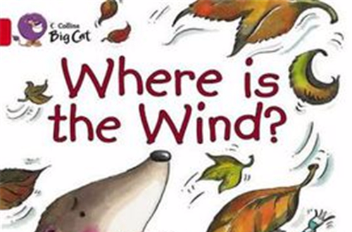 where is the wind?风在哪儿?