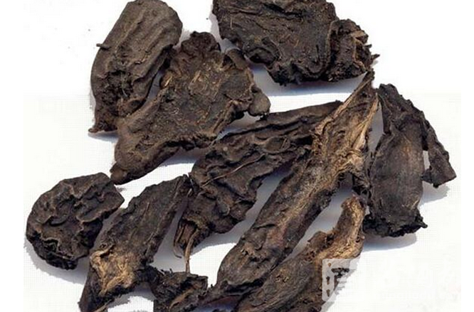  p>生川乌,英文名aconite root,别名鹅儿花,铁花,有大毒.