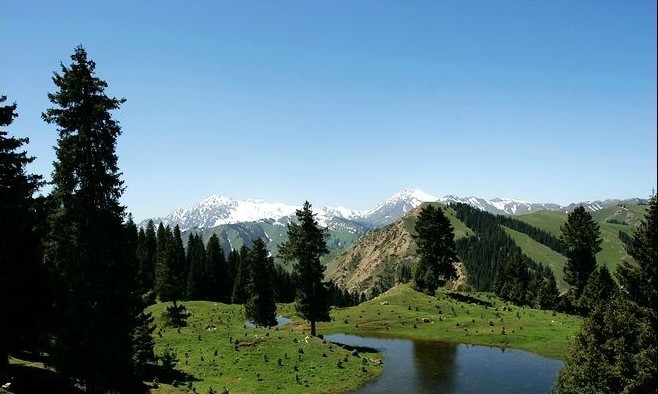  p>果子沟是 a target="_blank" href="/item/伊犁地区/3219088" data