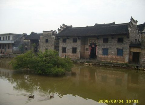 邓华故居水塘灌木1