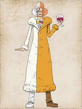 国王代理人卡罗茵,同时也是海贼山治2年