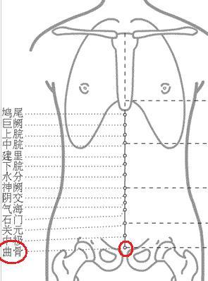 曲骨穴 百度百科