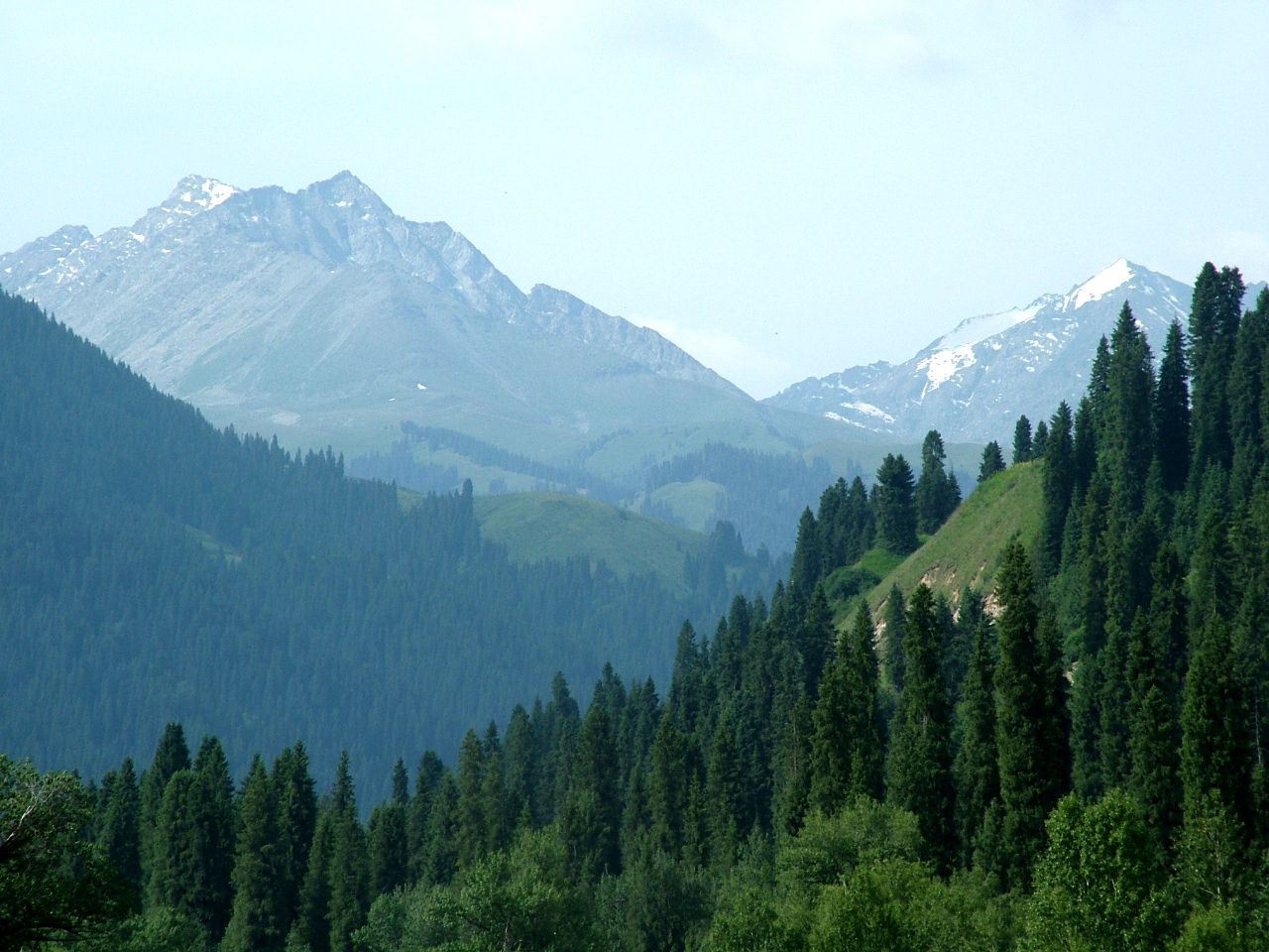 西天山国家级自然保护区