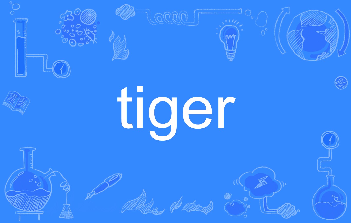  p>tiger,英文单词,名词,作名词时意为"老虎;凶暴的人,人名;(英)泰格