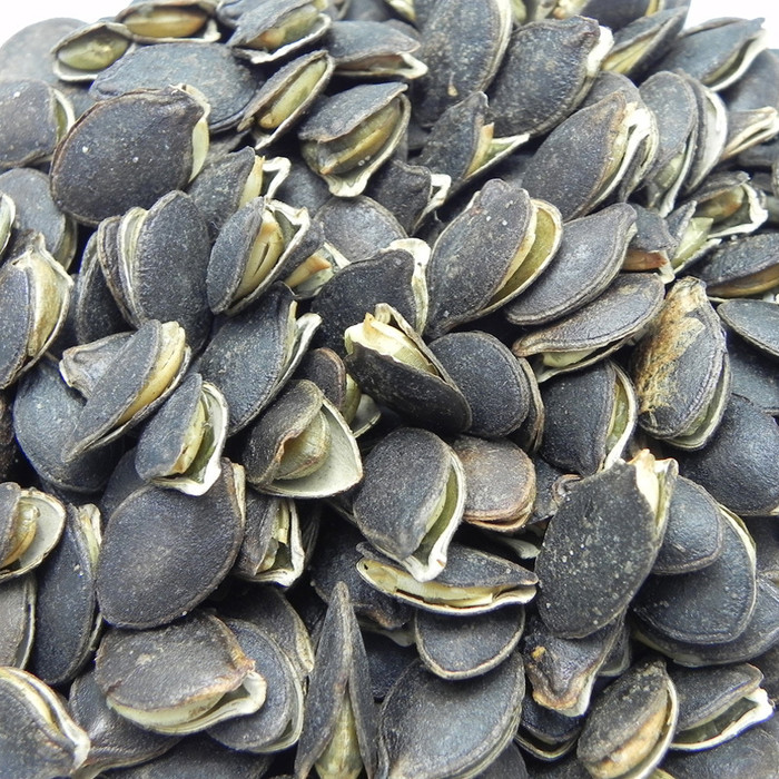  p data-id="gnyustuii6">黑金刚瓜子原产于南非,其特点是果大肉厚,壳