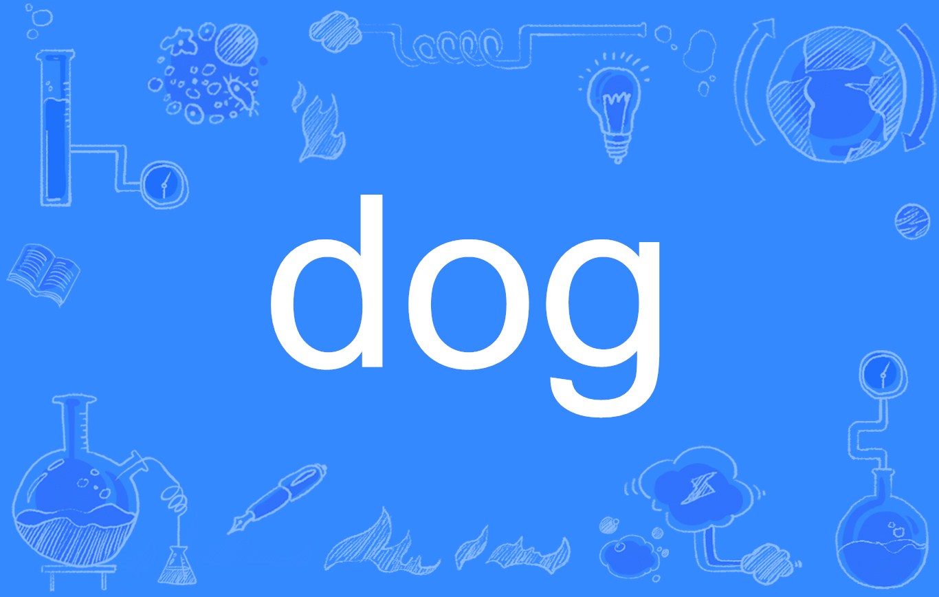 lqsr">dog是一个 a target="_blank" href="/item/英文单词/9003476"