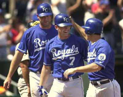 明尼苏达双城队