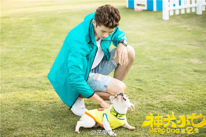 神犬小七第二季