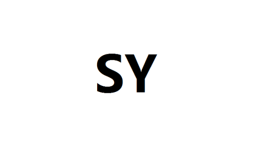 SY（英文缩写）_百度百科