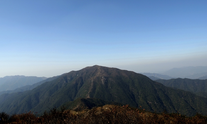 宁化牙梳山省级自然保护区