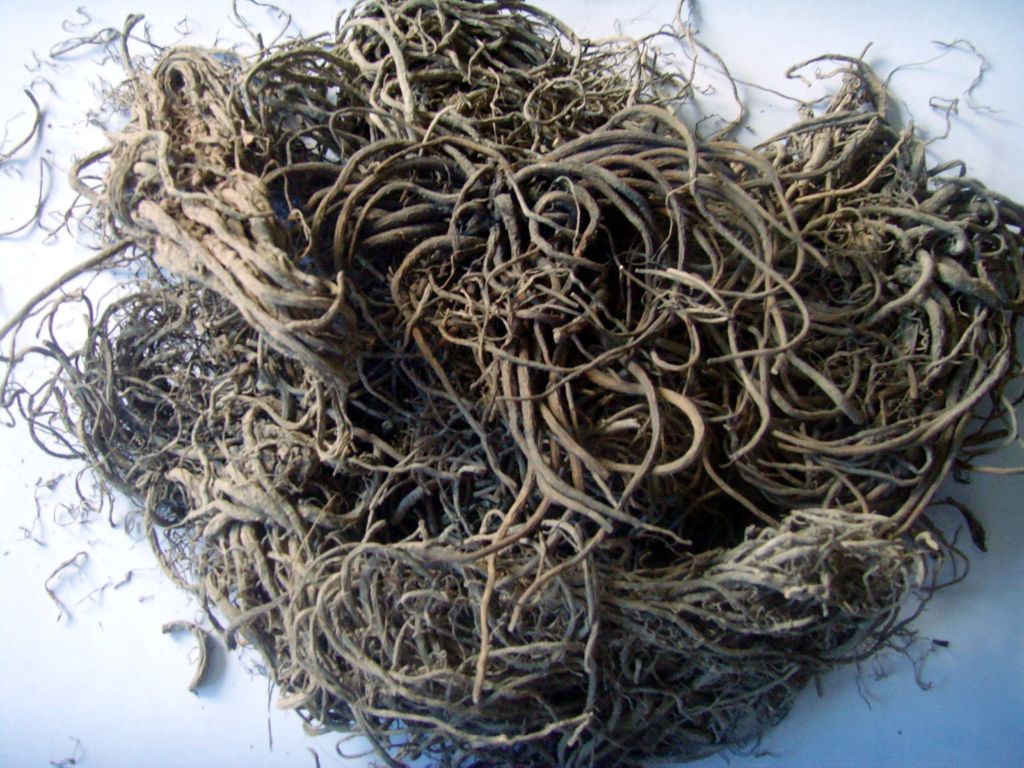  p>缬草(拉丁学名: i>valeriana officinalis /i> l.