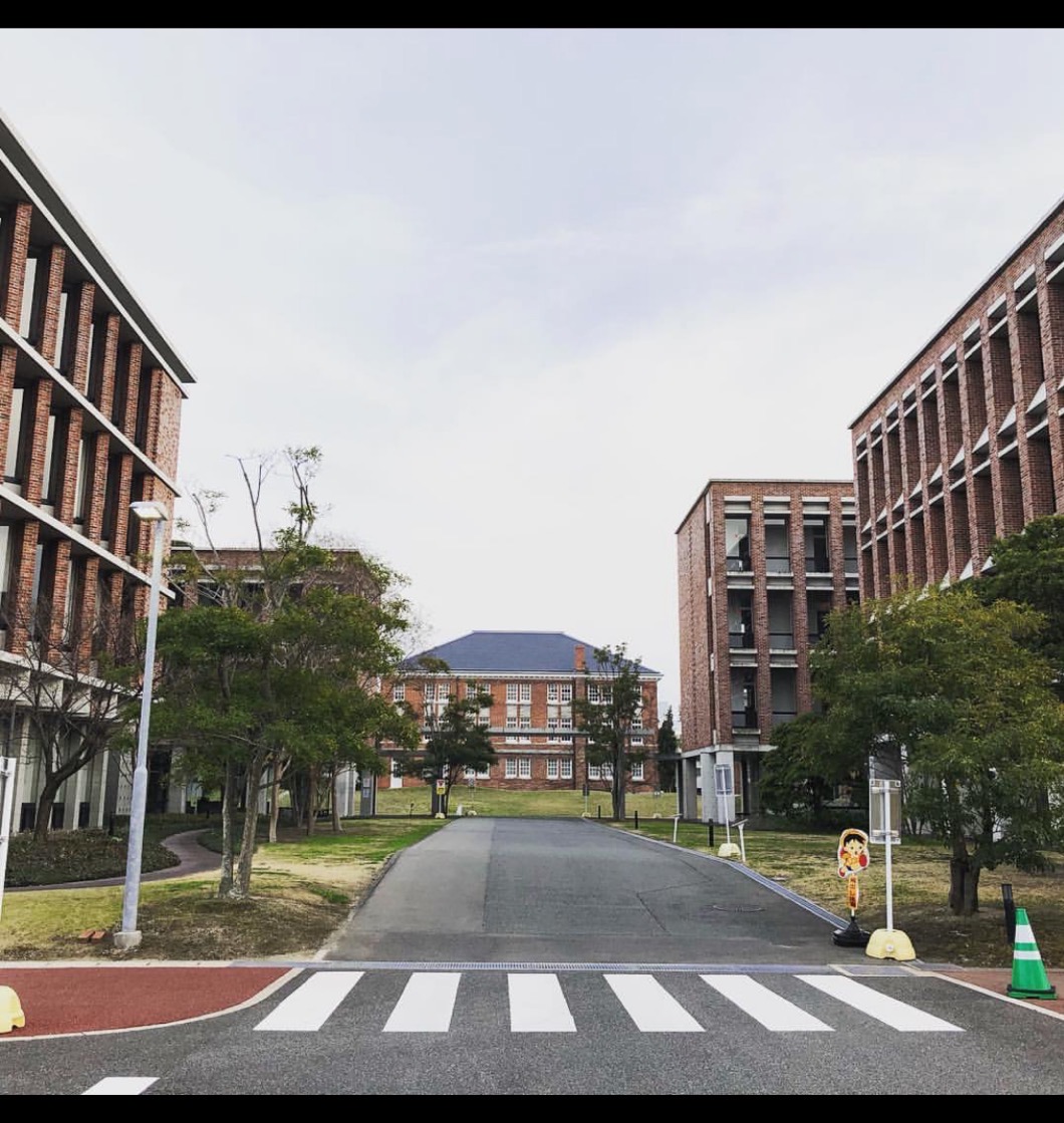  p> a target="_blank" href="/item/日本西南学院大学/4099642" data