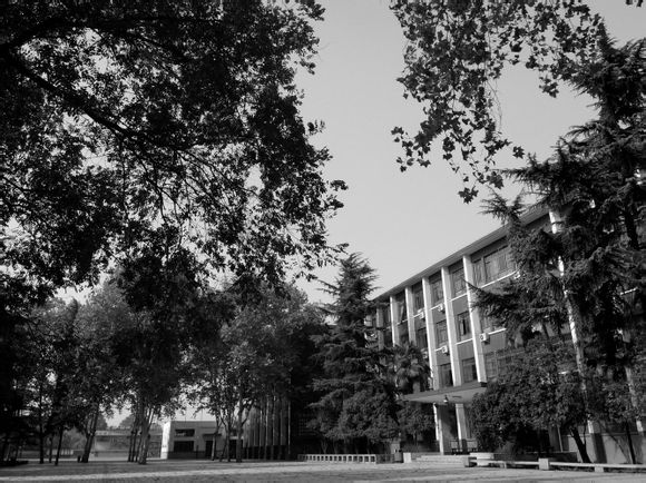  p>东方二中原名拖二中,位于十三朝古都洛阳,有着丰厚的文化底蕴,是