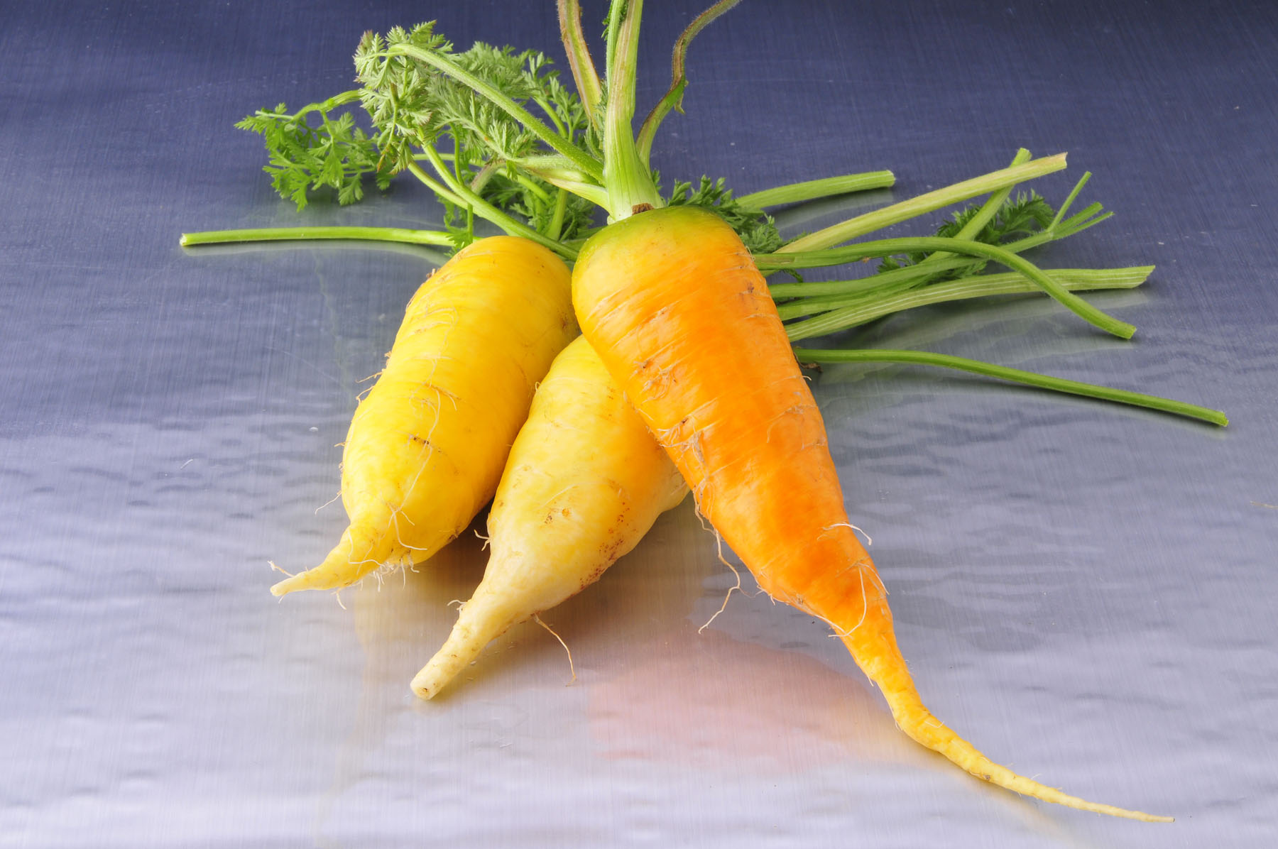 是伞形科,胡萝卜属野胡萝卜的变种,一年生或二年生 a target="_blnkk