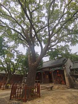 天后宫
