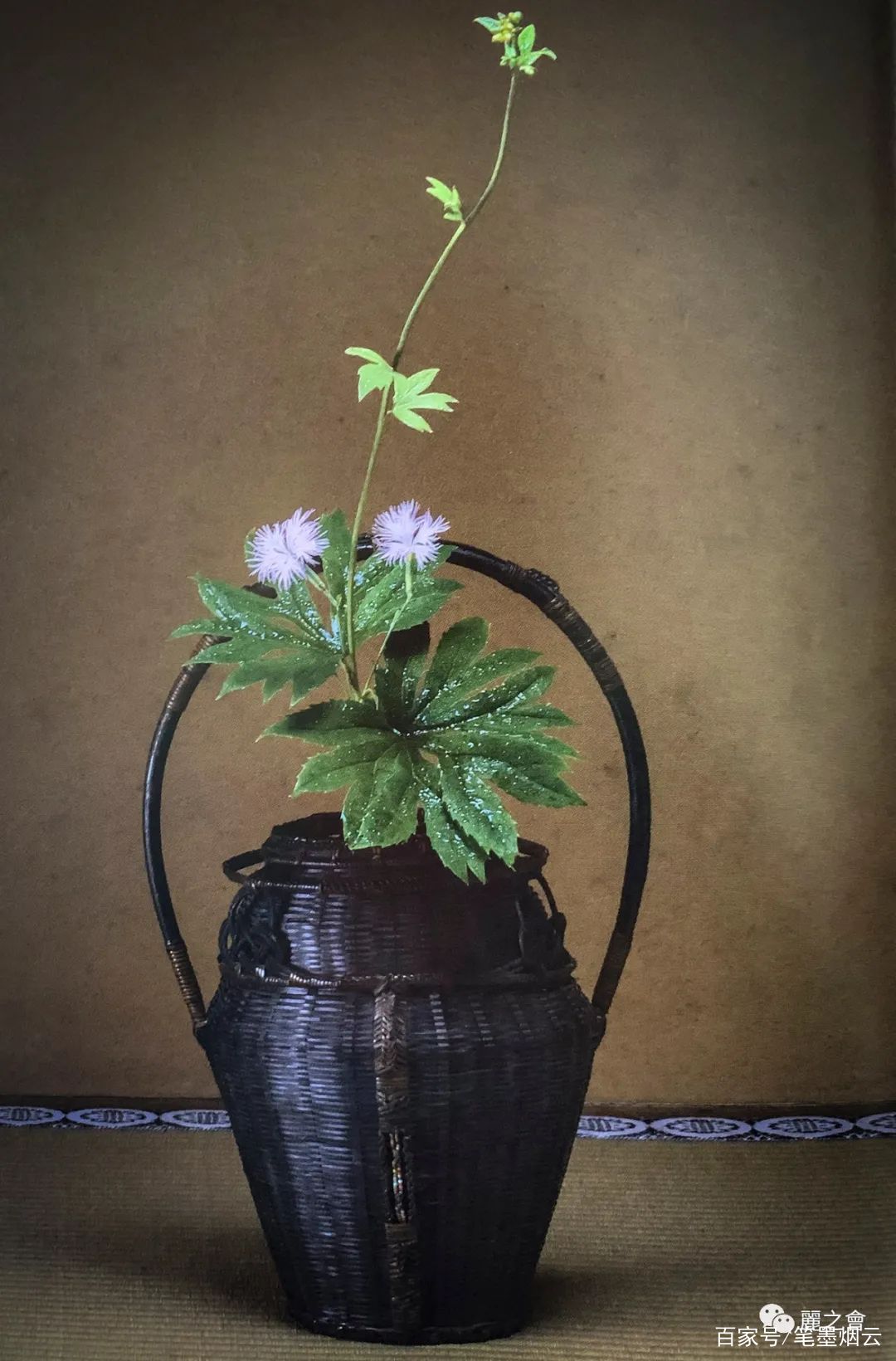 日本茶道与花 百科ta说