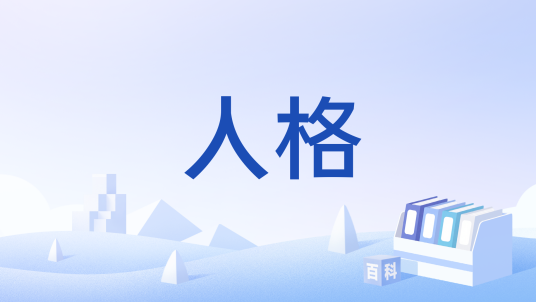 人格（人格定义）_百度百科