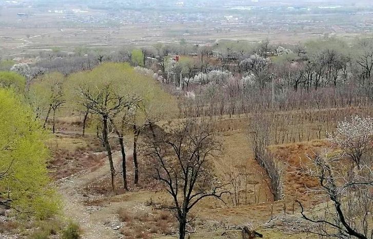  p data-id="gnwtylfrdg">蒋村镇,隶属于山西省忻州市定襄县,地处 a