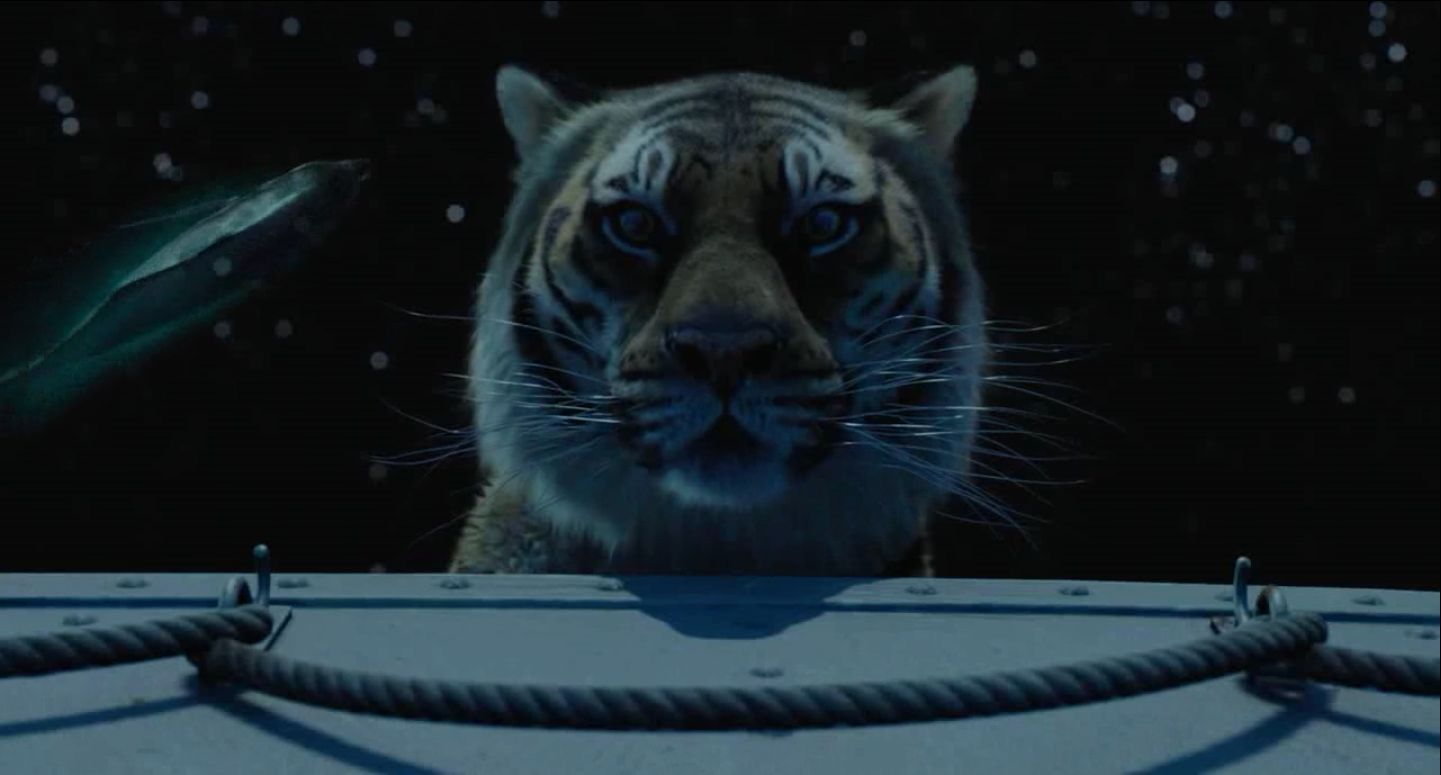 深度解析少年派的奇幻漂流,李安巨作