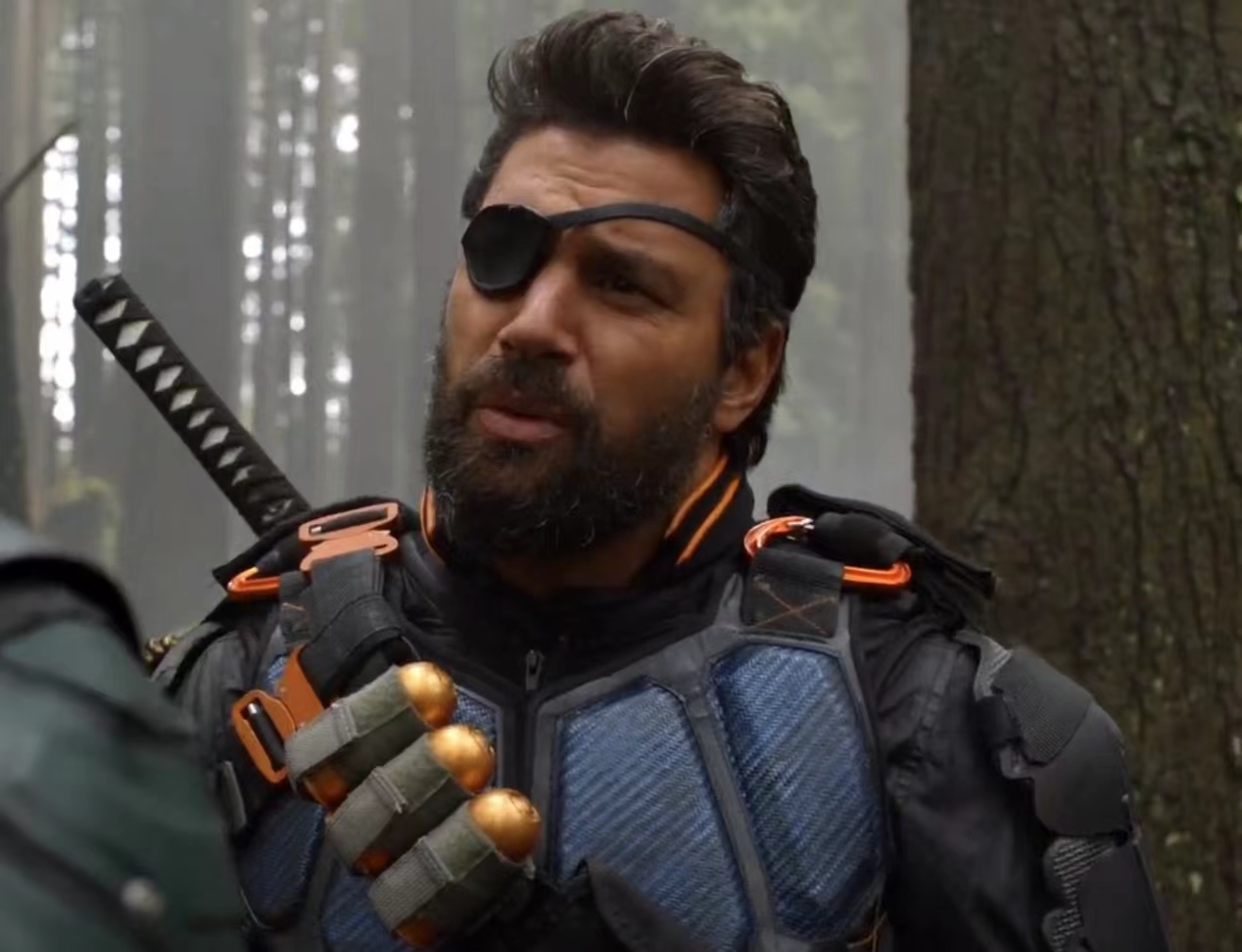  p data-id="gnwz6tpe2z">斯莱德·约瑟夫·威尔逊(slade  a target="