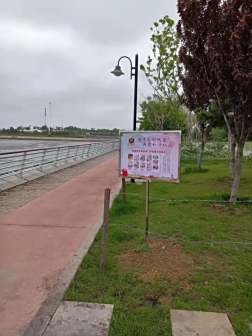 <p>学党史办实事|兴城路街道扎实开展海湾保护