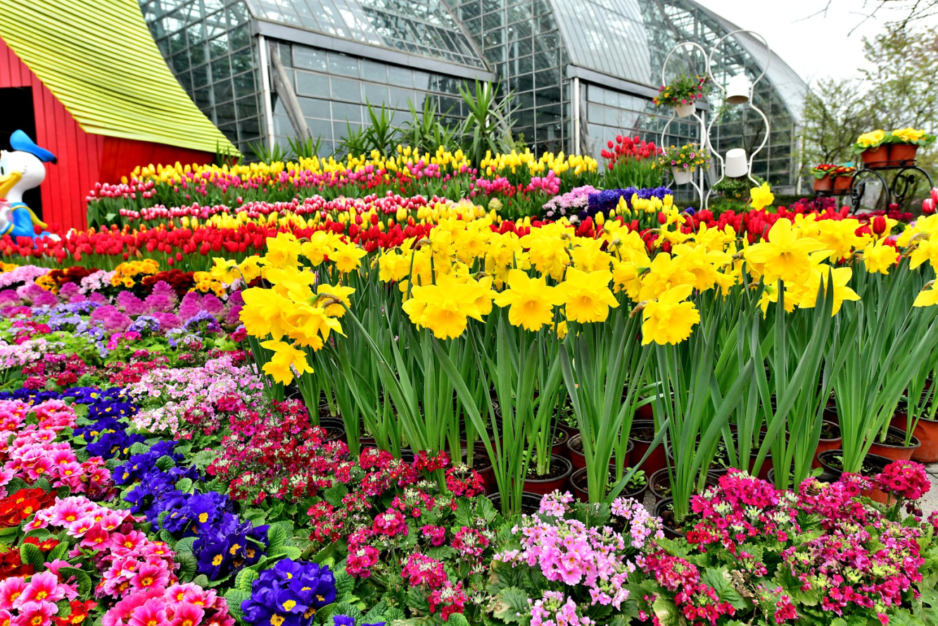 重庆市南山植物园