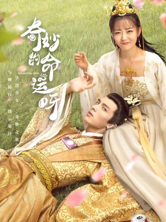 奇妙的命运呀