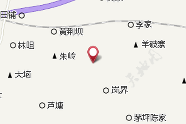 枫林镇林场