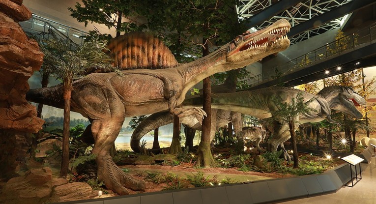  p>湖南省地质博物馆(hunan museum of geology),位于 a target="