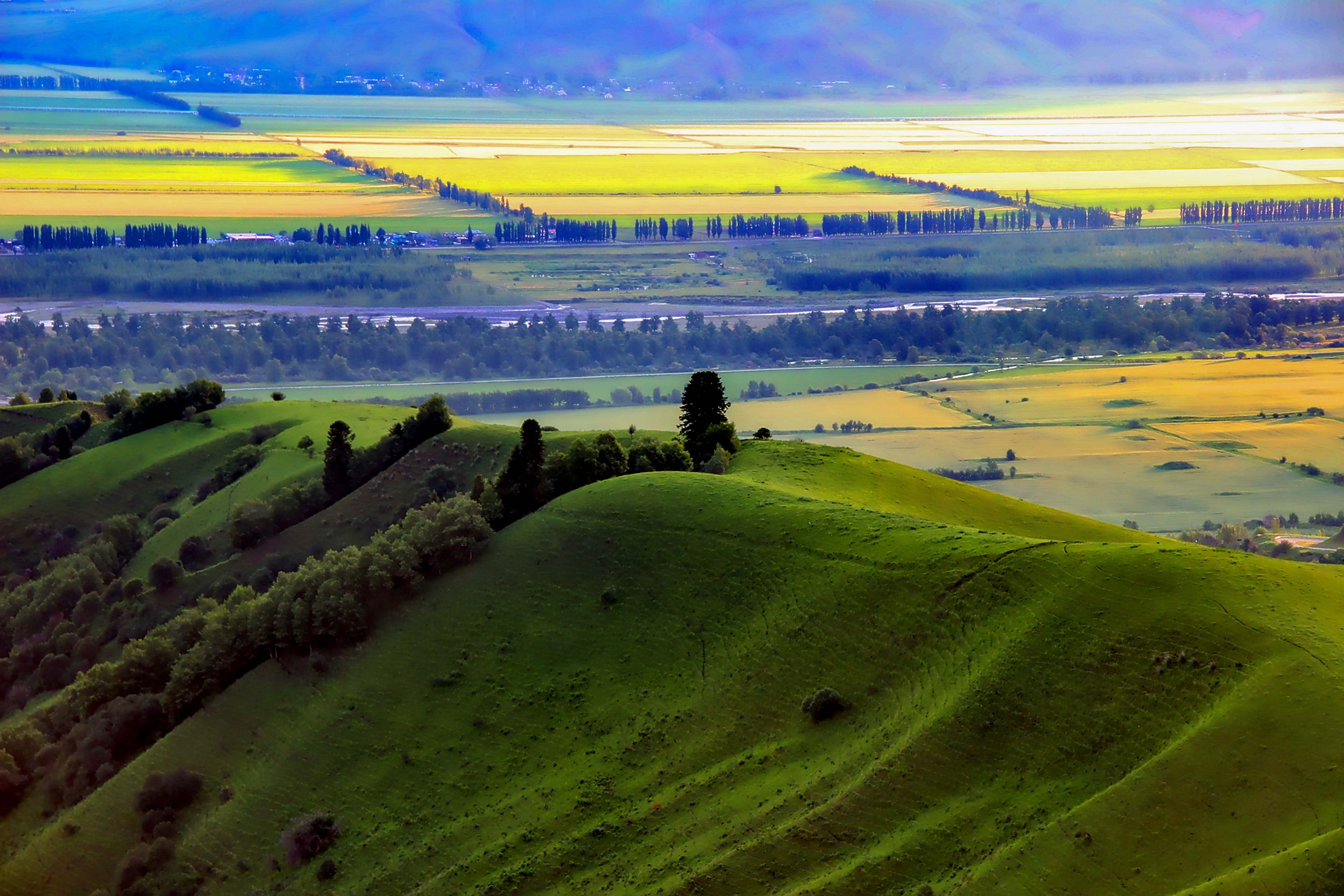 那拉提空中草原