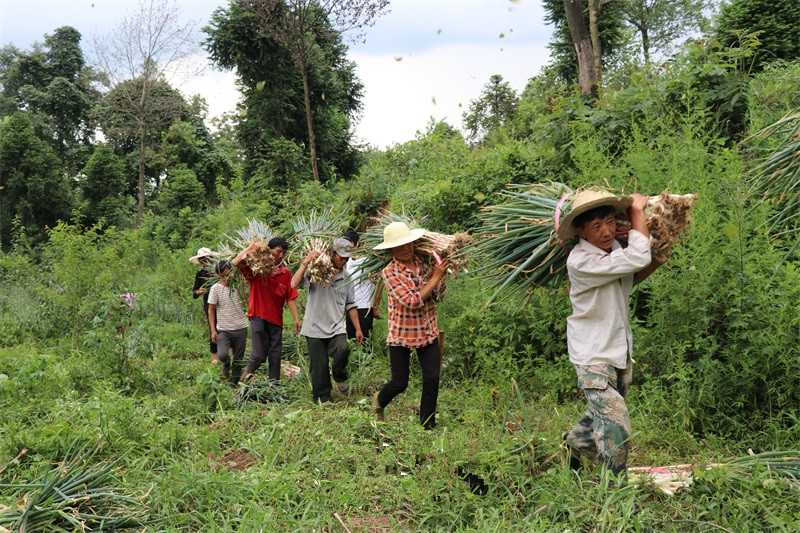  p>观音洞镇,隶属贵州省黔西市,地处黔西市西南部,东与 a target="