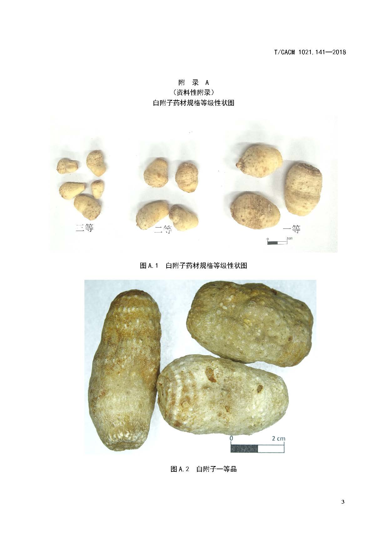 中药材商品规格等级—白附子