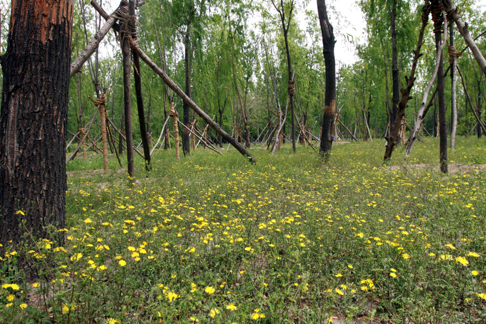 p>太平郊野公园,占地1085亩,位于规划中轴路延长线以东,兰太路南侧, 