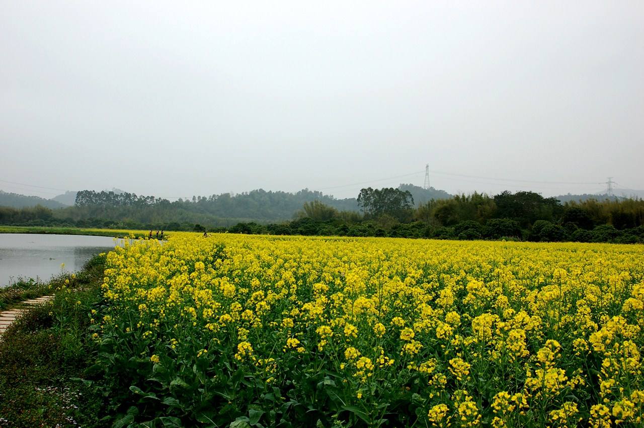 增城正果湖心岛景区