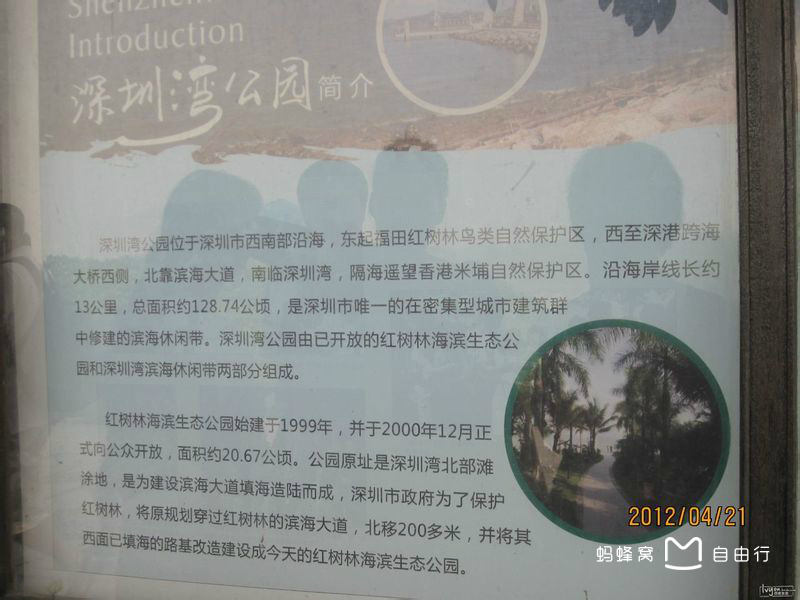 红树林海滨公园