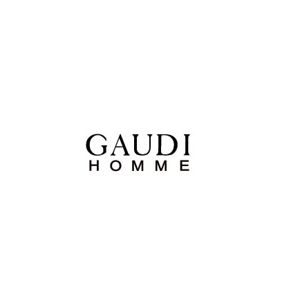 GAUDI（1988年创立于意大利的品牌）_百度百科