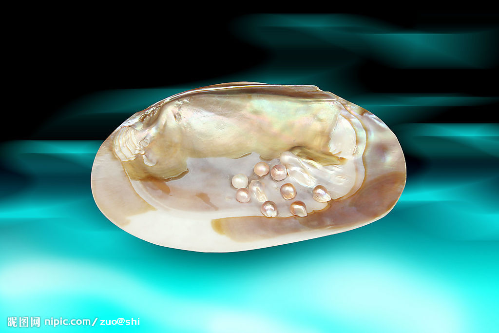  p>珍珠贝, a href="#" data-lemmaid="563285">软体动物门 /a>,瓣鳃