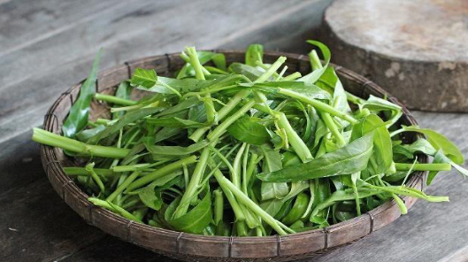 炎炎夏日，来一把空心菜才能凉凉_百科TA说