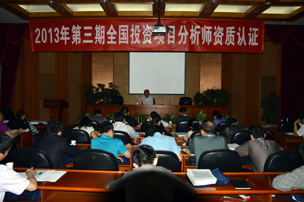 项目投资分析师